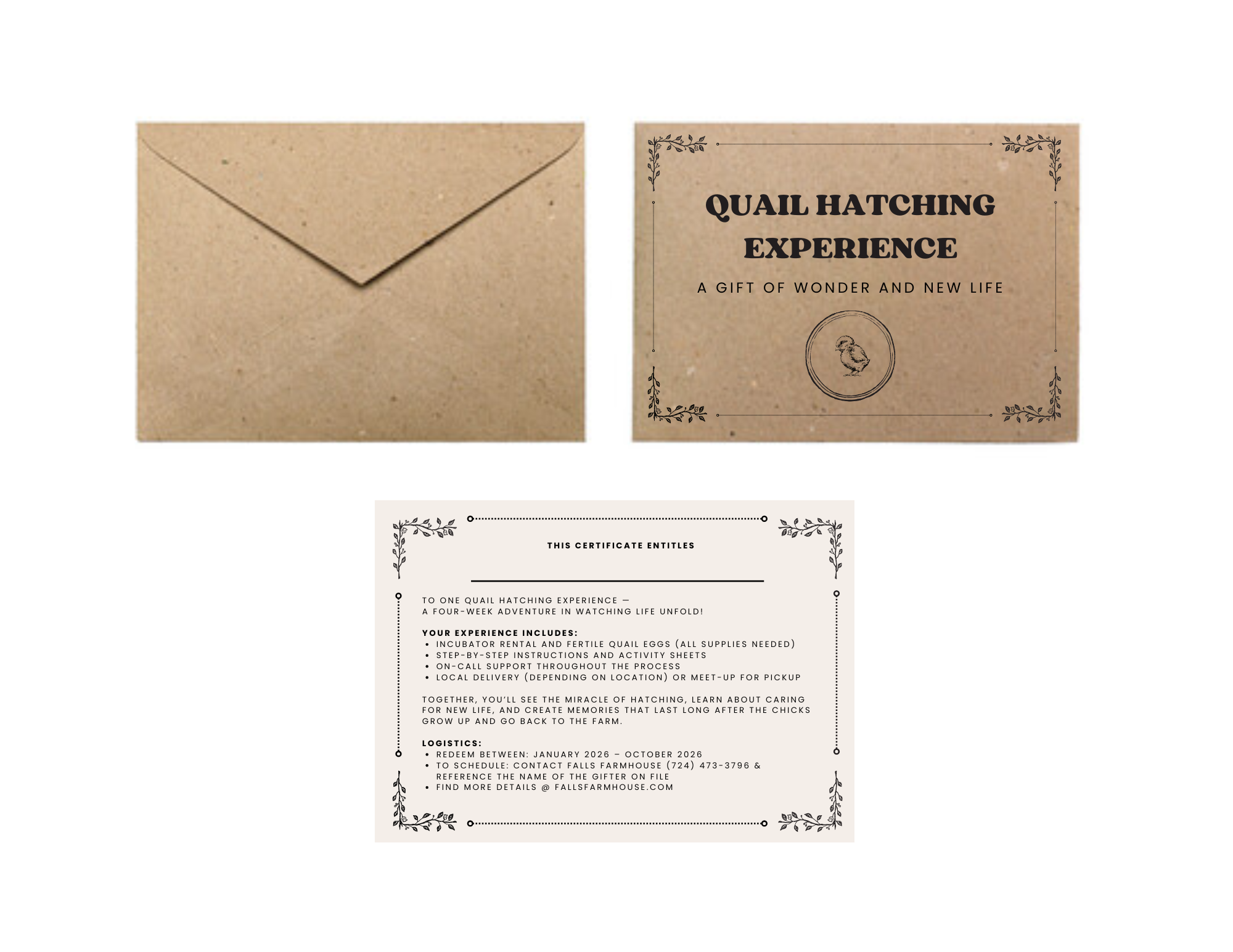 Quail Hatching Experience - Image 2